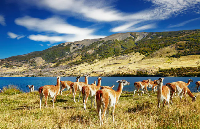 Torres del Paine National Park, Laguna Azul, Chile via Shutterstock*