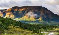 Alaska Travel Guide