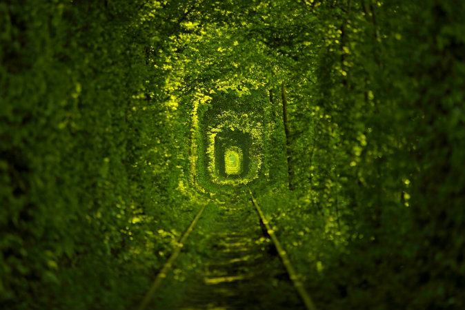 Tunnel of Love in Ukraine via Shutterstock*