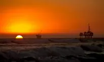 Collapsing Oil Prices to Slow Green Revolution as Energy Costs Plummet
