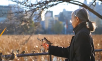 Research Shows Same Genes Control Speech in Humans and Birds (Video)