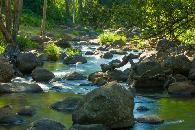 Gold Coast, hinterland. Queensland via Shutterstock*