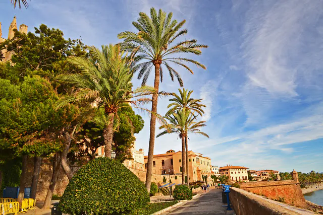 At the Palma Cathedral (Tomasz Lisowski, Adventurous Travels)