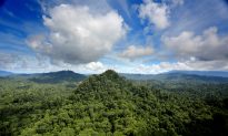 Tropical Deforestation Could Disrupt Rainfall Globally