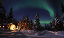 Lapland Winter Wonderland