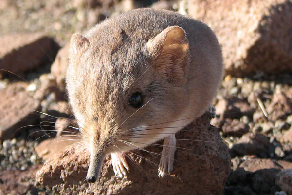 New Species Discoveries in 2014, Part II