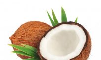 Can Coconut Fat Keep Brains From Aging Too Fast?