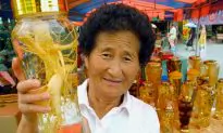 Forms of Ginseng and Where to Find Them