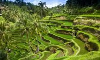 Family Caught Stealing Items From Bali Hotel Rooms, Offers to Pay Staff