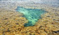 Porto de Galinhas, Brazil – Natural Pools and Coral Reef