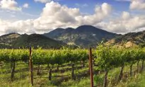 Top Things to Do in California
