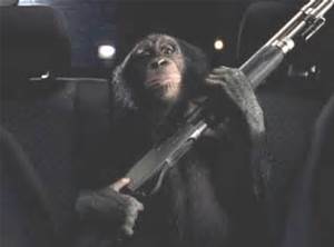 Human or simian, the killer instinct still drives us...
