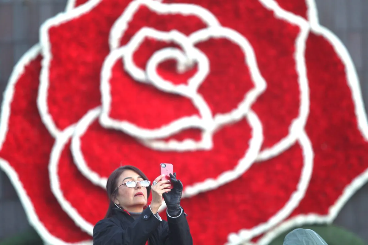 A Rose Parade spectator takes pictures while waiting the start of the 126th Rose Parade in Pasadena, Calif., Thursday, Jan. 1, 2015. (AP Photo/Ringo H.W. Chiu)