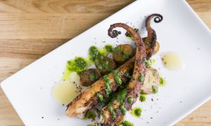 Cooklyn Grows in Brooklyn