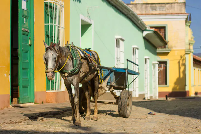 Horse and a cart on a street in Trinidad, Cuba via Shutterstock*