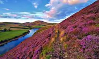 Check out the Active Side of Edinburgh!