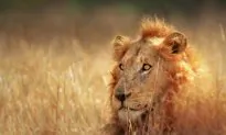 7 Underrated Destinations in South Africa