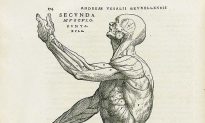 Andreas Vesalius: The Man Who Revolutionized Our Knowledge of the Human Body
