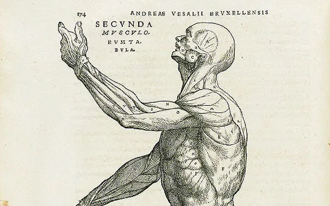 Drawn directly from the flesh. (Public Domain Review/Flickr, CC BY-SA)