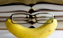 Increase Your IQ With the Right Foods, Herbs, Vitamins, and Exercises for Your Brain
