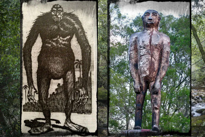 Left: A creature described by Australian surveyor Charles Harper, as depicted by artist Will Donald in the Sydney Sun in 1912. Right: A wooden yowie statue in Kilcoy, Queensland, Australia. (Wikimedia Commons) Background: A file photo of trees in New South Wales, Australia. (Klaus Hollitzer/iStock/Thinkstock)