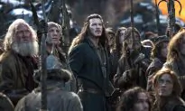 Due to Digital, 2014 a Down Year for Hollywood