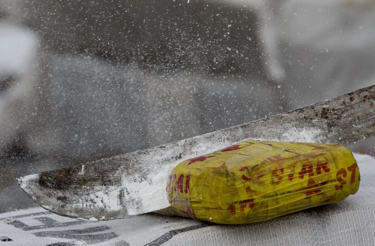 In this file photo, powder flies as an anti-narcotics agent hacks open a package of cocaine. (AP Photo/Arnulfo Franco)