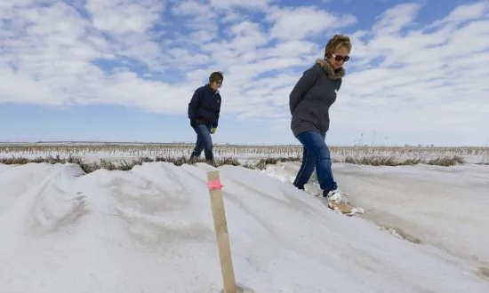 Nebraska Court Could Hold Up Keystone Oil Pipeline