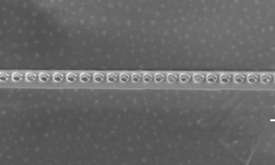 Quantum Computing One Step Closer, a Qubit Candidate Shines Brighter