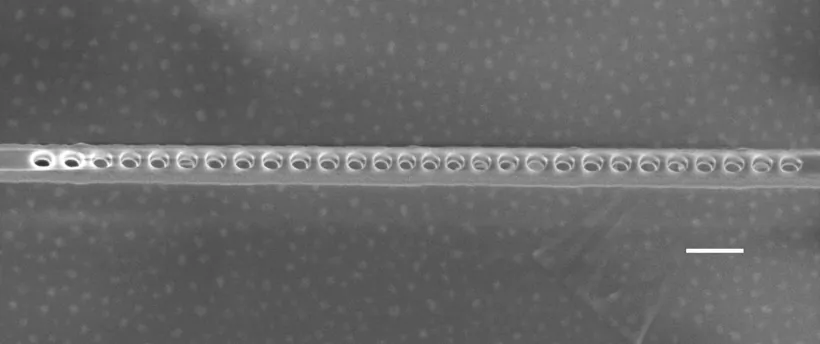 A scanning electron microscope image of the diamond photonic cavity shows the nanoscale holes etched through the layer containing NV centers. The scale bar indicates 200 nanometers.
(Evelyn Hu/Harvard)