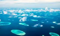 The Maldives: What to Expect in Terms of Culture