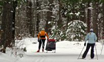 6 North Central Wisconsin Cross-Country Skiing Areas