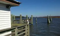 Sapelo Island: Georgia’s Historic Treasure