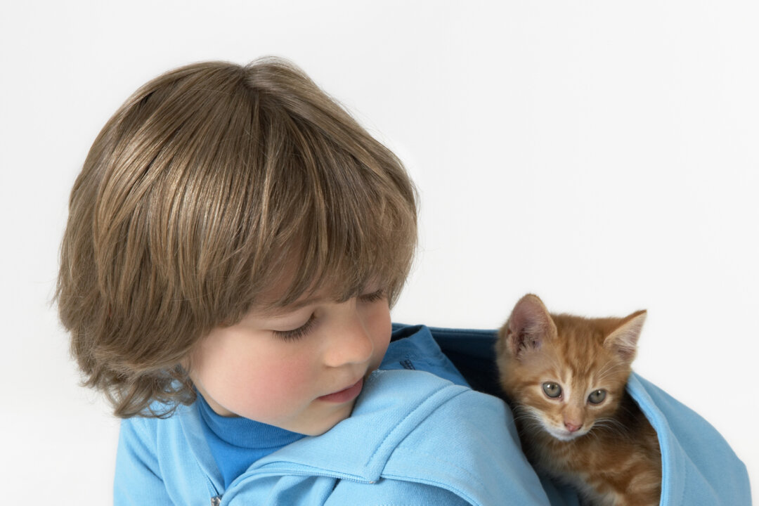 Autistic children with any kind of pet at home were more assertive and more likely to engage in social behaviors with humans, according to new research. (Fuse/Thinsktock)