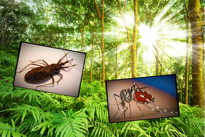 (Shutterstock/Wikipedia-commons*)