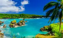 Maui: Paradise Lost and Found