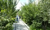 Walking the High Line – New York City