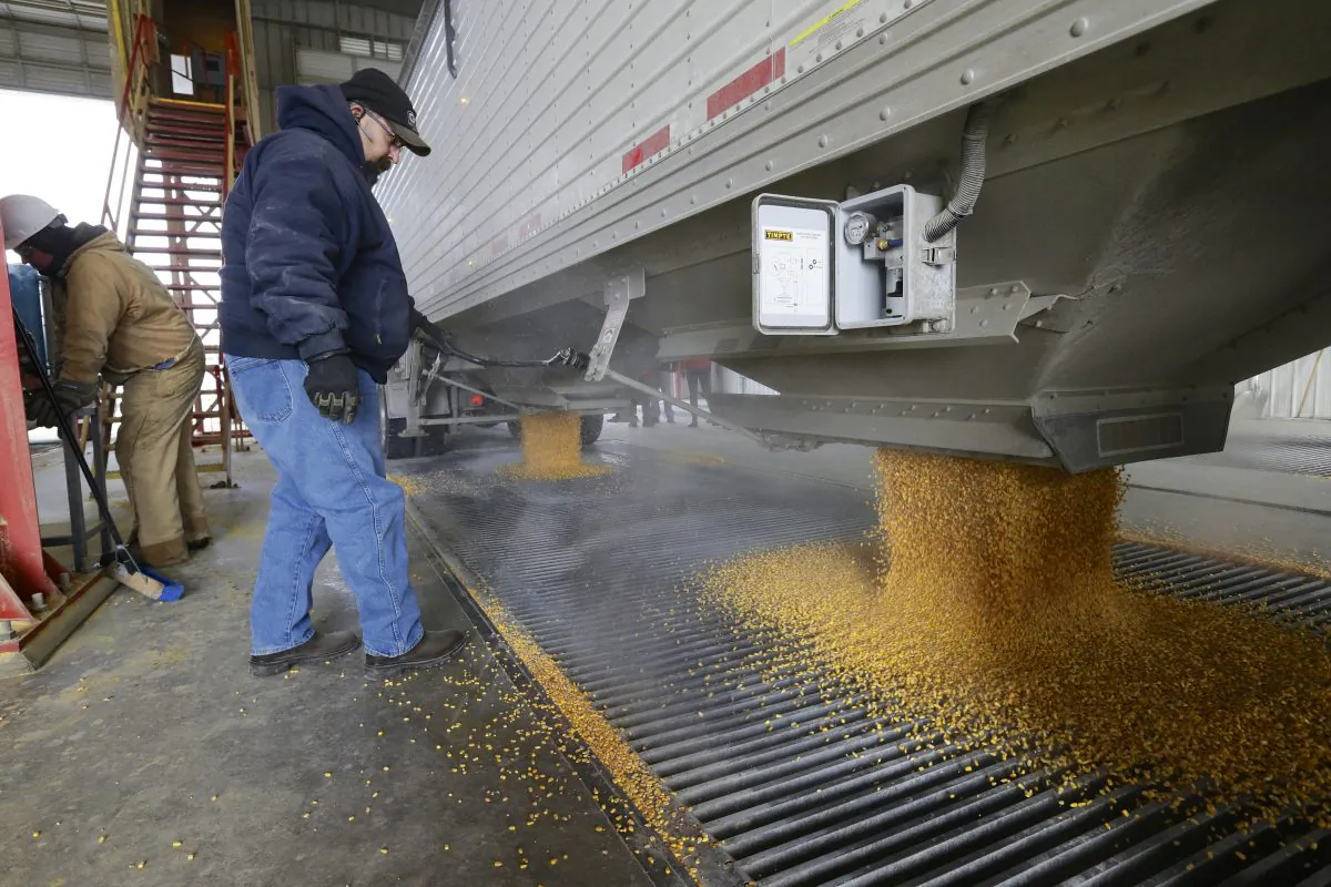Corn is delivered to the Green Plains ethanol plant in Shenandoah, Iowa., on Jan. 6, 2015. Roughly 100 trucks a day filled with corn flow into the ethanol plant in southwest Iowa even as crude oil prices continue to collapse. Oil prices may have dipped below $50 a barrel for the first time since April 2009, but ethanol plants across the nation continue to operate at a brisk pace in order to satisfy a domestic and export demand that hasn’t weakened. (AP Photo/Nati Harnik)