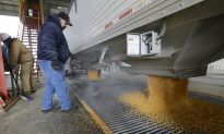 Oil Could Drive Down Ethanol Profits, but Industry Shielded