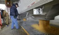 Oil Could Drive Down Ethanol Profits, but Industry Shielded