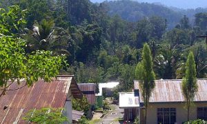 Indonesia: Sulawesi Community Regains Forest Rights