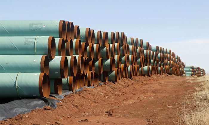 Miles of pipe ready to become part of the Keystone Pipeline are stacked in a field near Ripley, Okla., on Feb. 1, 2012. (AP Photo/Sue Ogrocki)