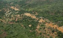 Wildlife Activists Concerned Over Uganda-Congo Border Oil