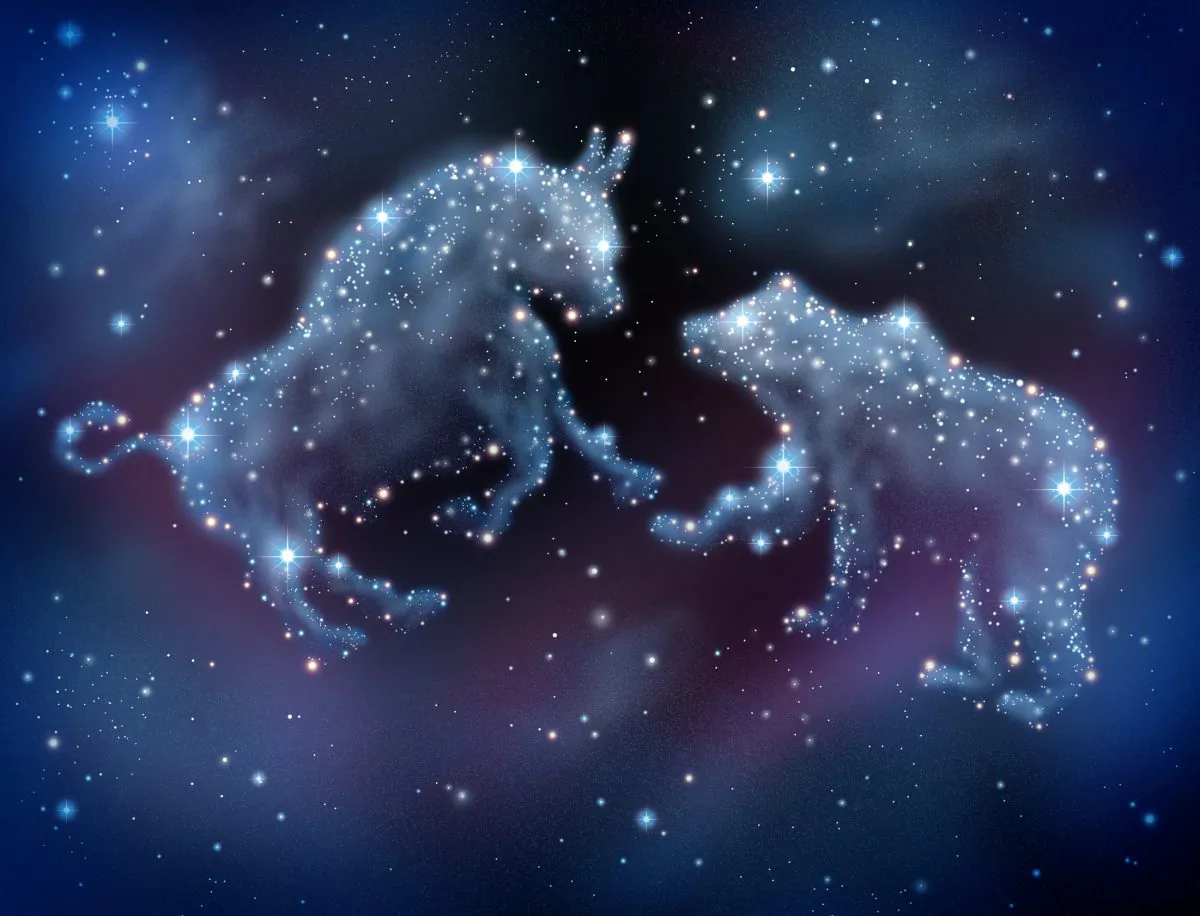 'Bottom-up' investing would be less concerned about bull or bear markets whereas 'top-down' investing is very much concerned about it. (Fotolia)