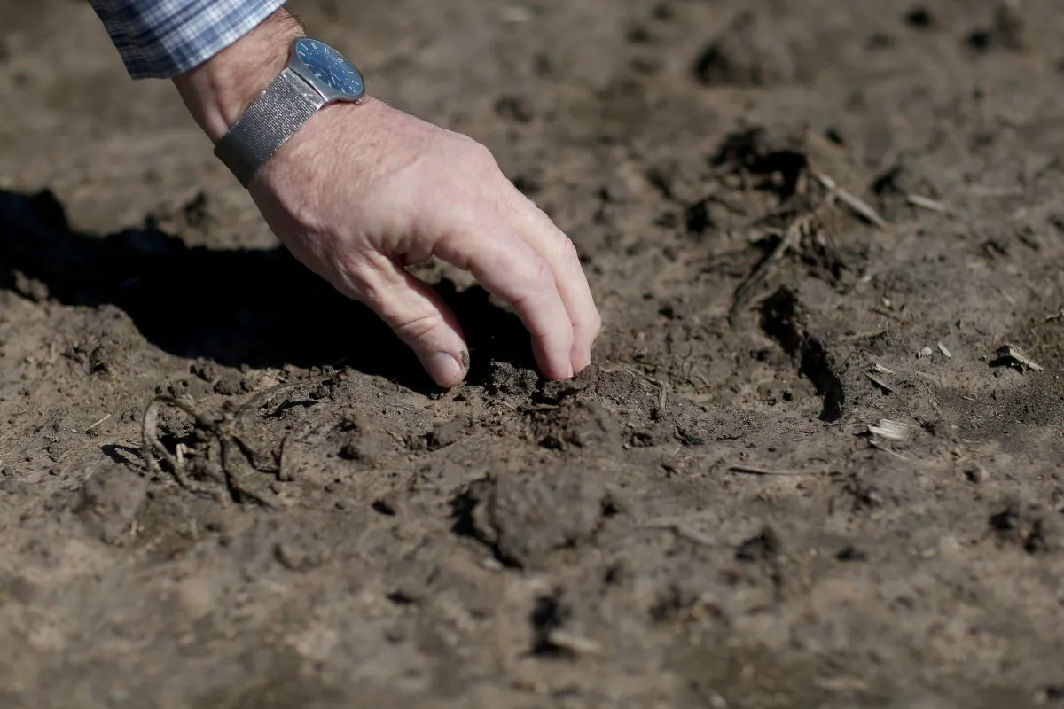 LISSIE, TX - MARCH 12: Ronald Gertson, a fourth generation rice farmer, touches the soil in his rice field that may not be planted this year due to severe drought on March 12, 2014 in Lissie, Texas. Due to a severe drought afflicting the region, the facility closed as farmers like Gertson do not have enough water to grow a sufficient rice crop. Recently the Texas Commission on Environmental Quality agreed to cut off water deliveries to most rice farmers in the Lower Colorado River Basin for the third straight year as the lakes in central Texas are only 38 percent full. (Photo by Joe Raedle/Getty Images)