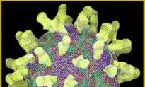 Do Viruses Make Us Smarter?