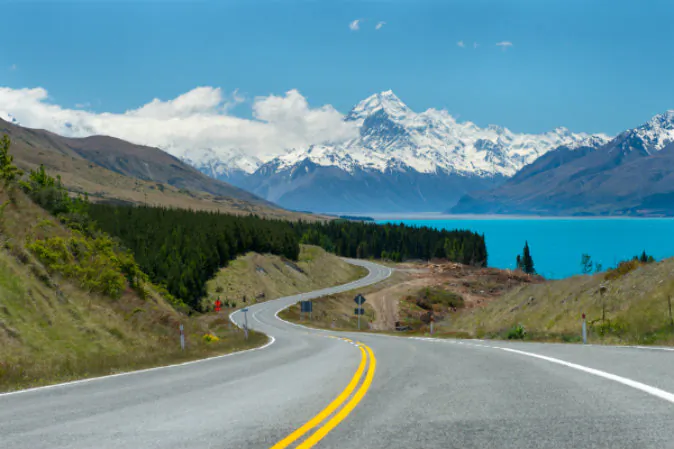 Mt.cook, Lupines fields, South island New Zealand via Shutterstock*