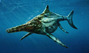 It's Not Nessie, But Jurassic Predator Found in Scotland (Video)
