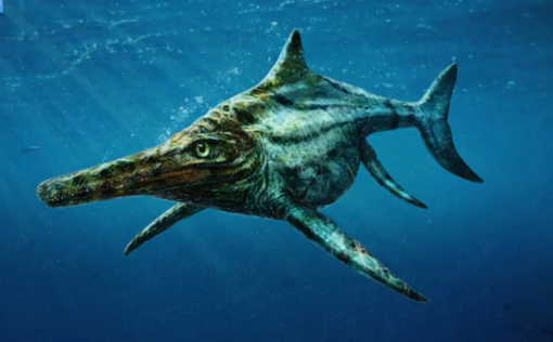 It’s Not Nessie, But Jurassic Predator Found in Scotland (Video)