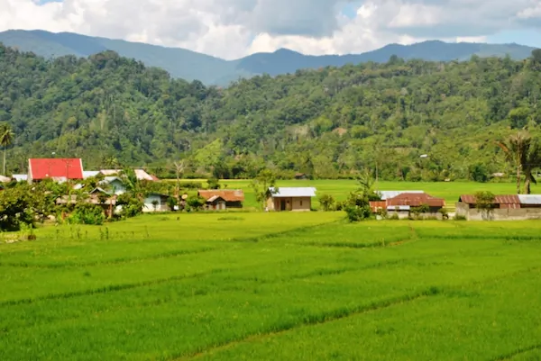 Local Forest Management Draws International Attention